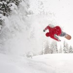 An extraordinary chiropractic experience