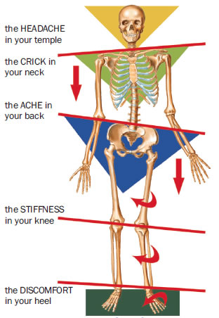 custom-orthotics-Foot-Levelers-skeletal-imbalance